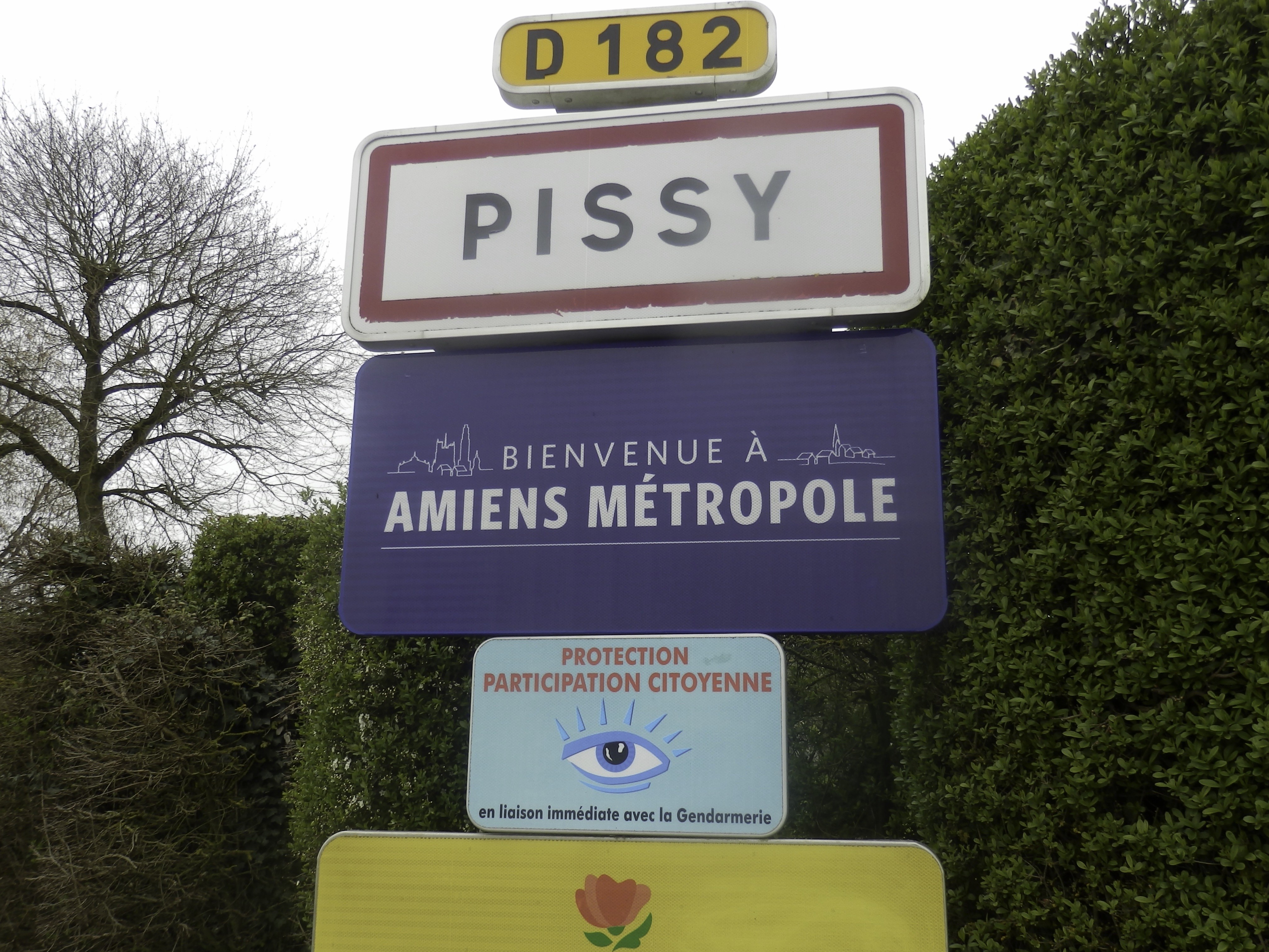 Pissy