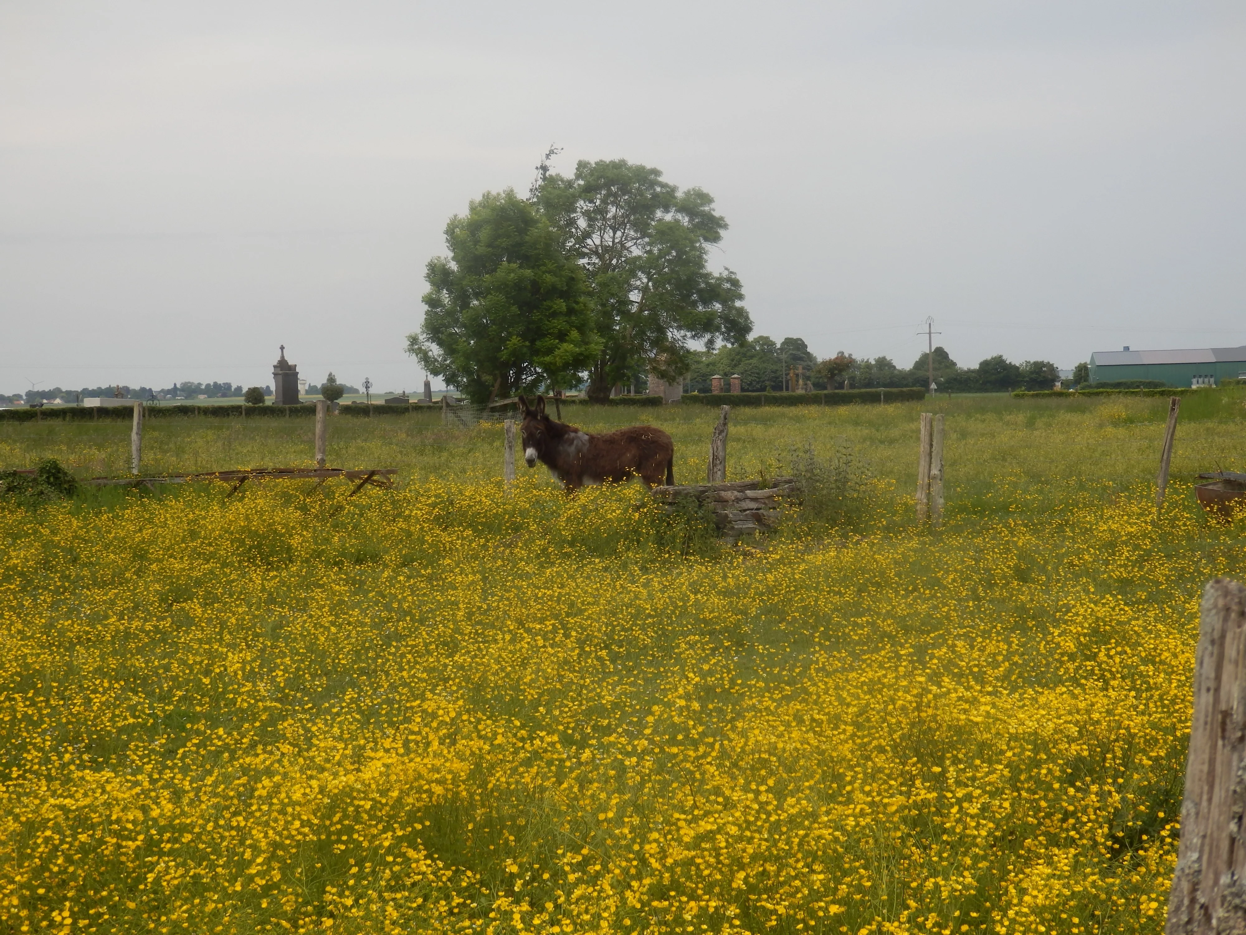 Quevauvillers
