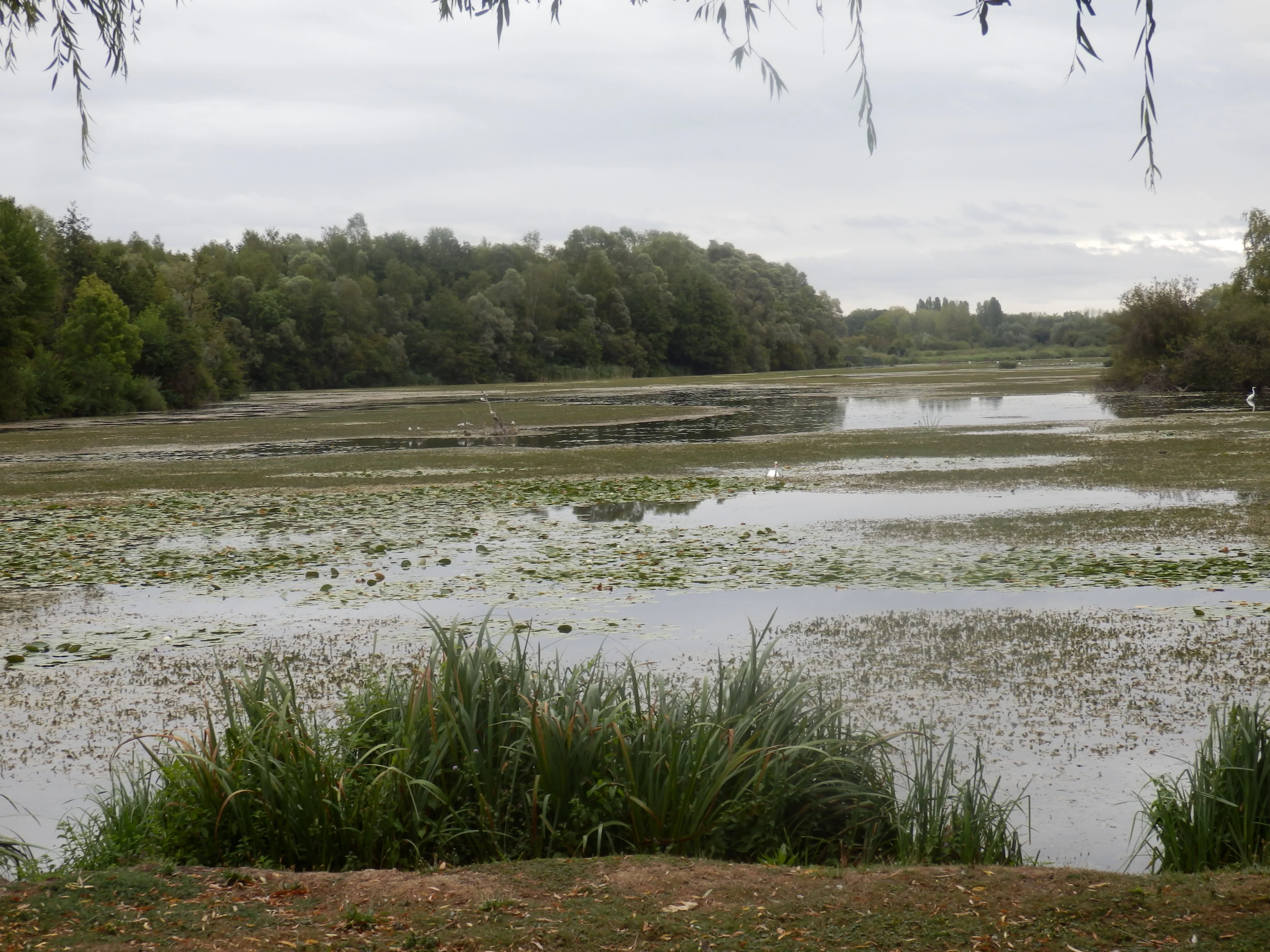 Dreuil-lès-Amiens