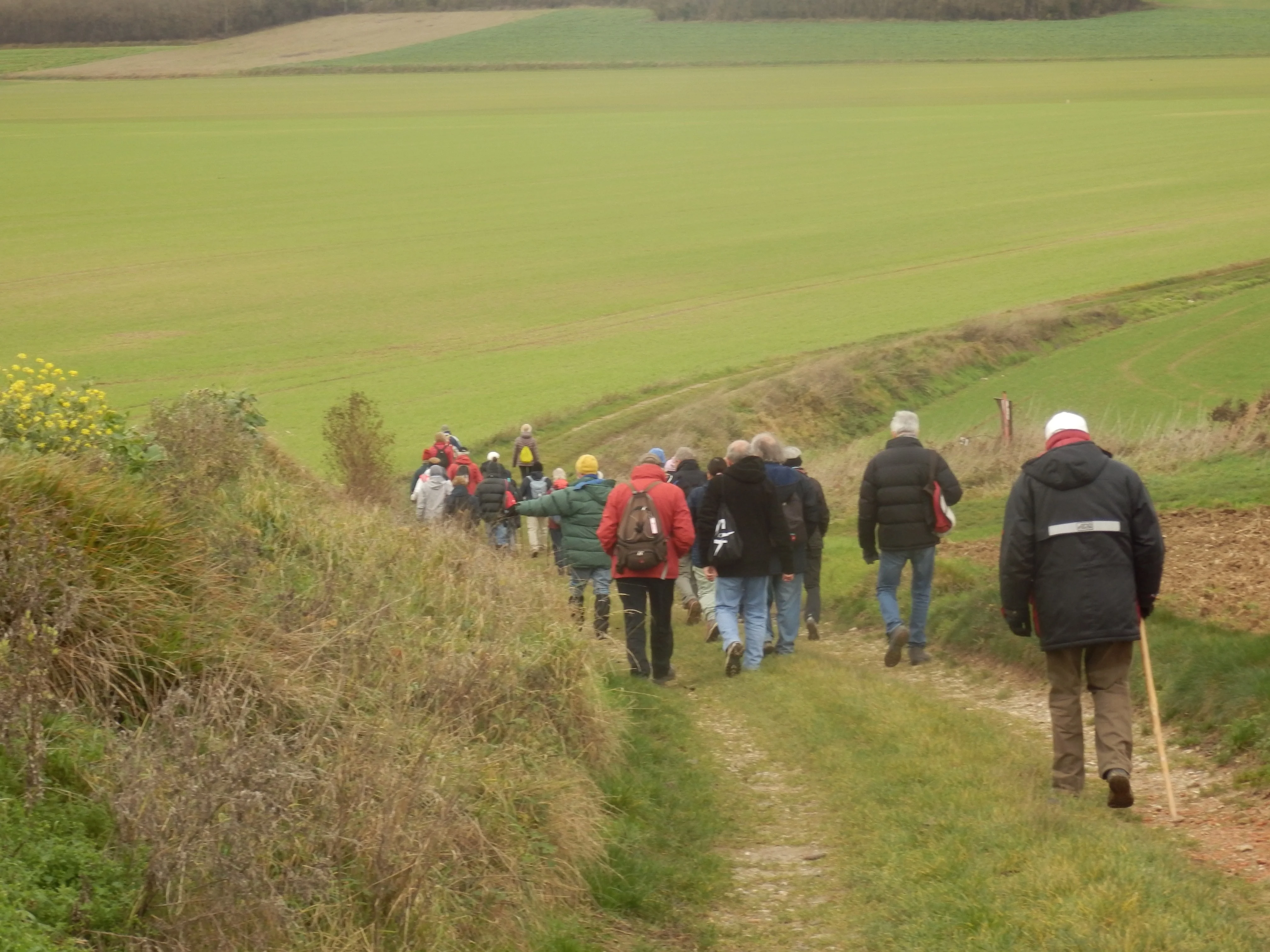 Hameau Dreuil-lès-Molliens